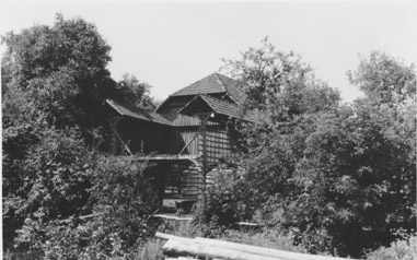 eika image